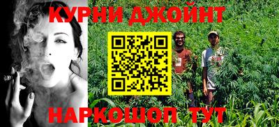 гидра Шебекино